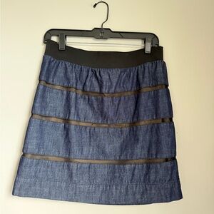 The Limited Denim Striped Mini Skirt